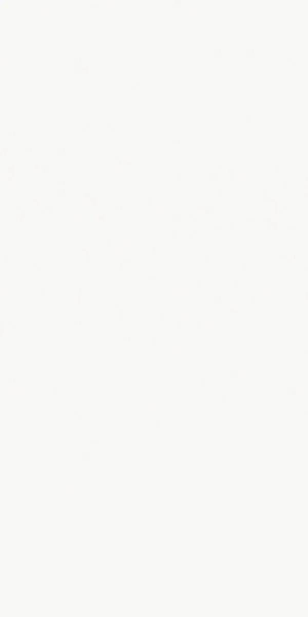 Mostly blank white image with a faint light gray border on the left edge.