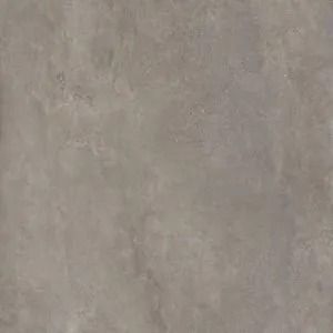 Close-up of a gray textured wall surface.