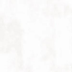 Blank white image with a faint light gray texture