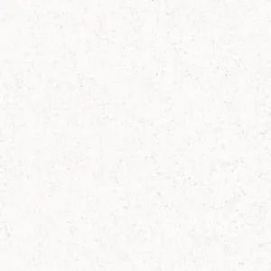 Blank white textured background with faint gray speckles