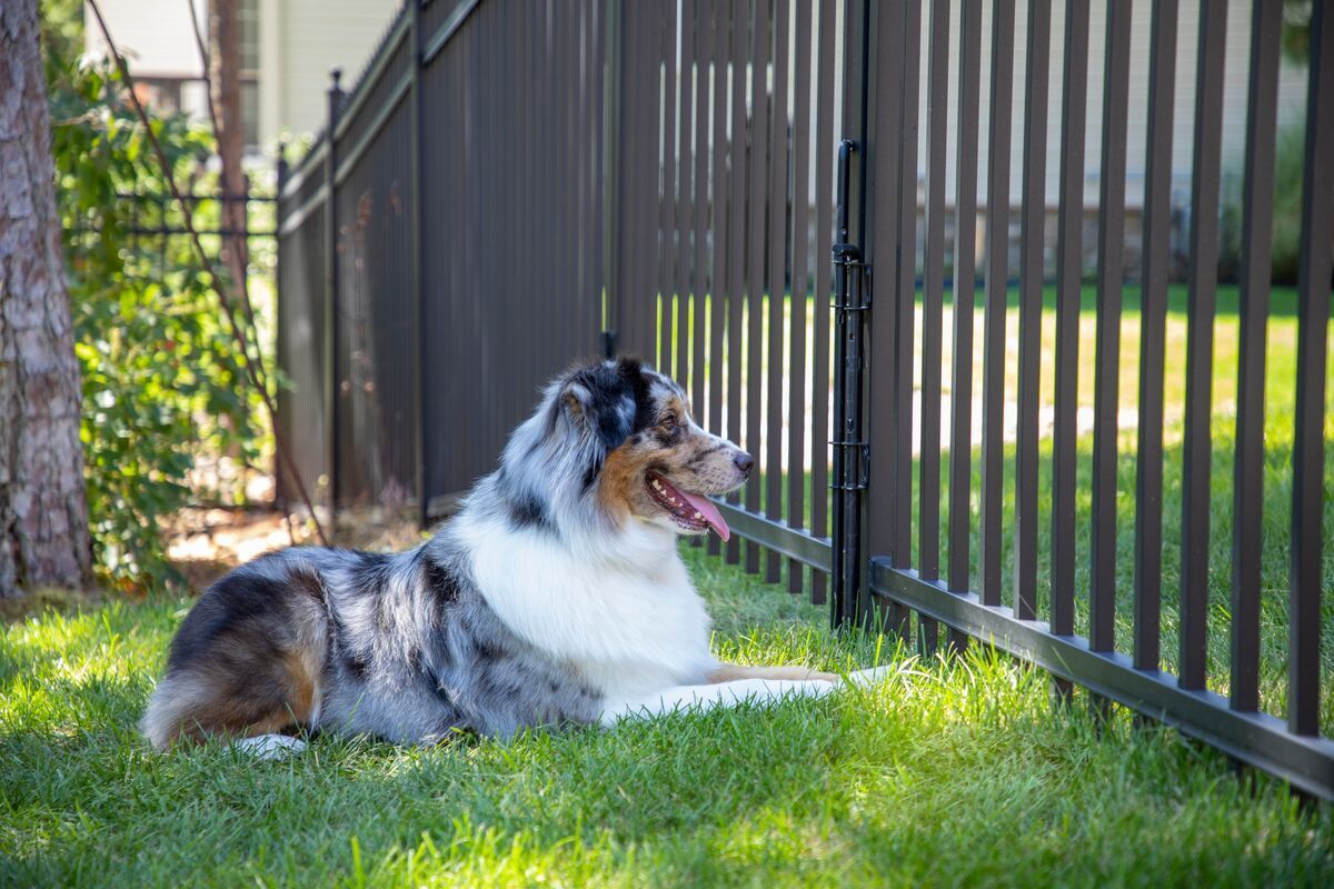 Metal fencing