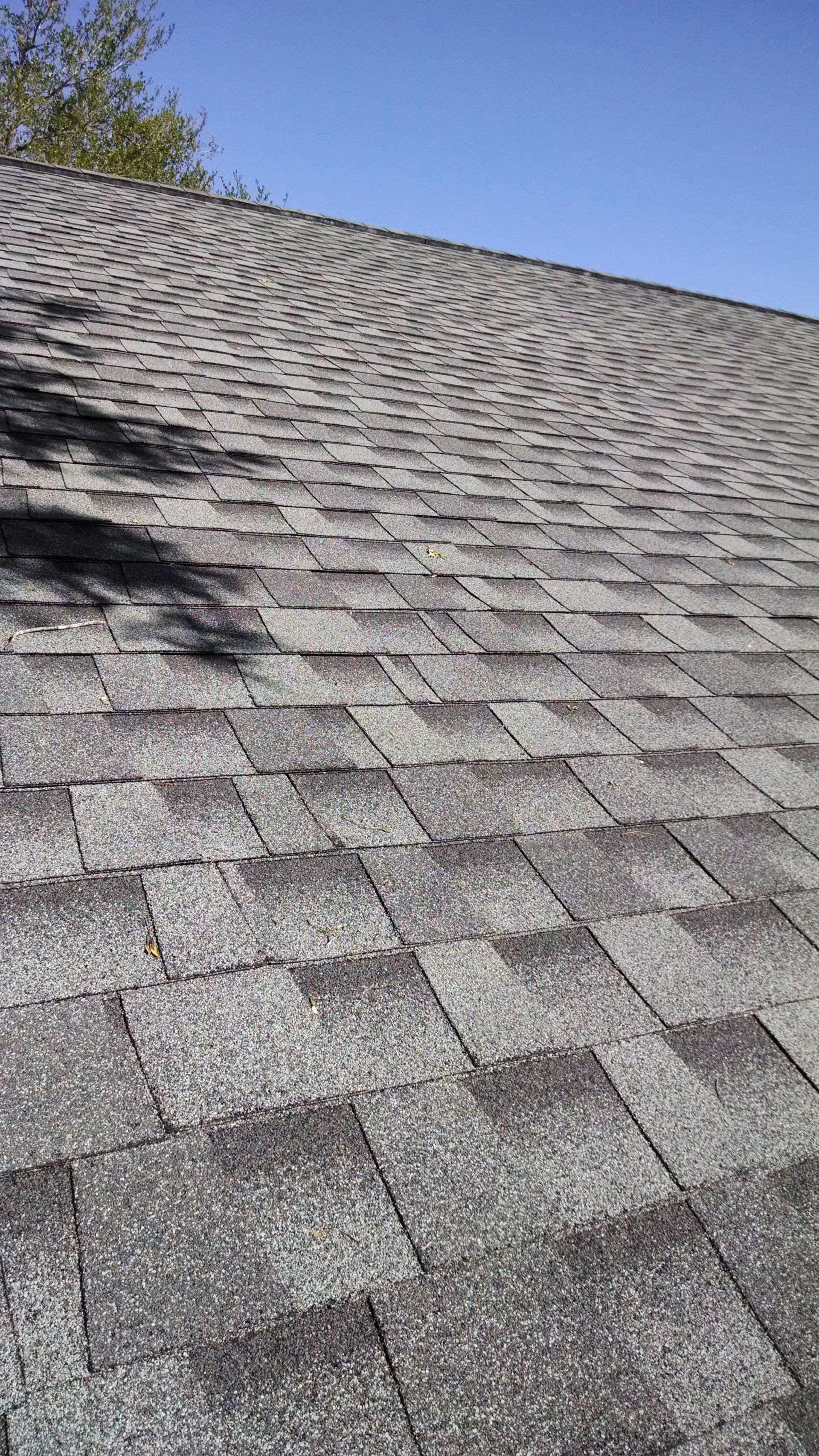 A close-up of a roof with shingles and a tree in the background.