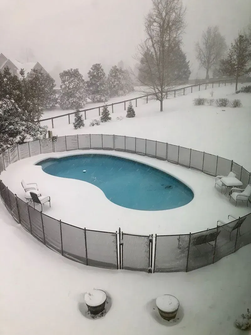 Snow-covered backyard with an above-ground pool and trees in winter