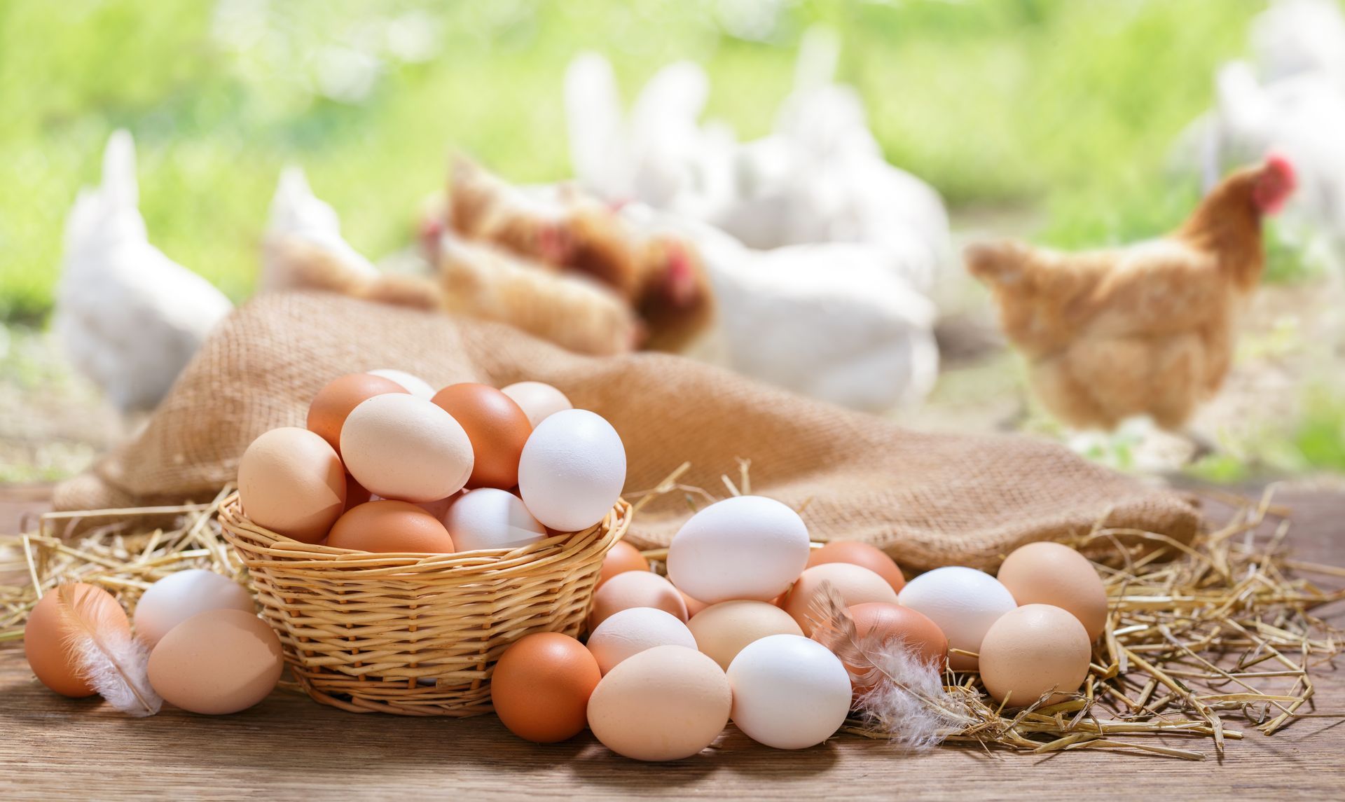 A basket of white and brown eggs with chickens in the background