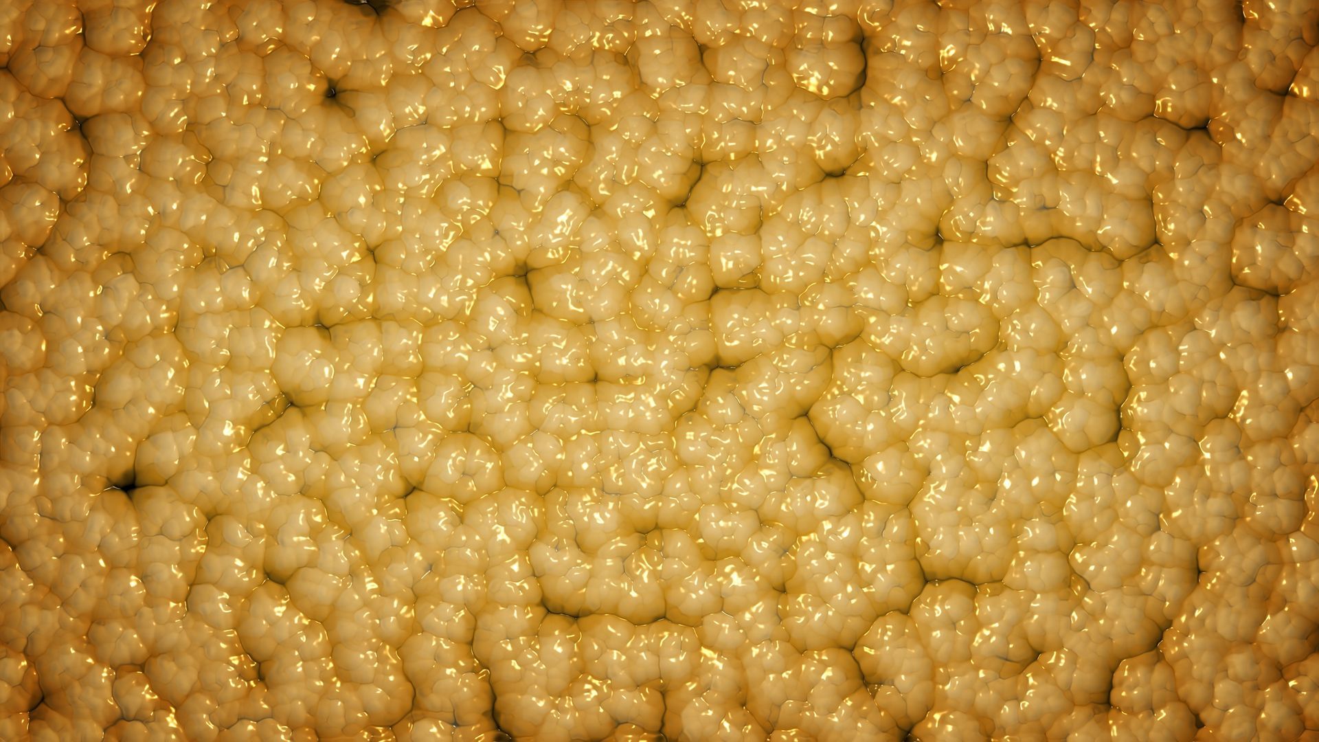 A picture of yellow fat cells