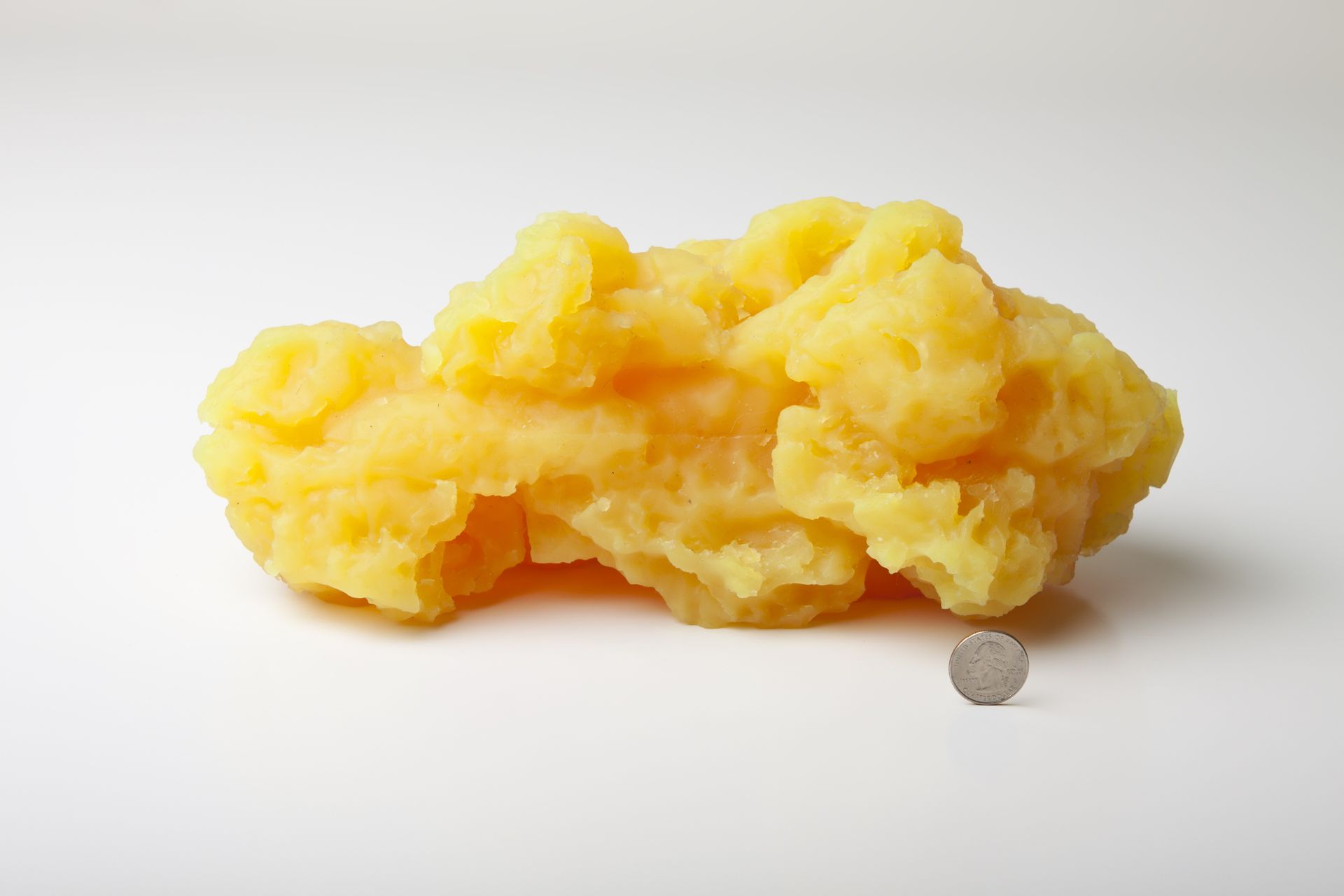 A five pound model of yellow fat