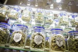 Marijuana