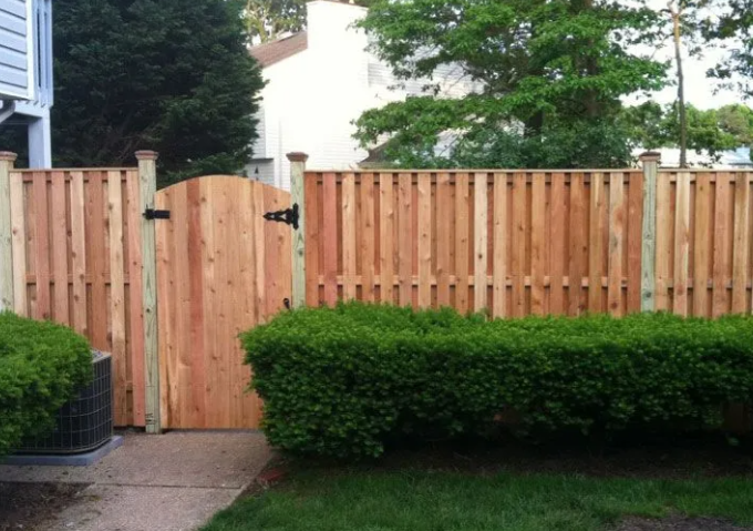 Wooden backyard fence and gate behind trimmed green hedges, with a house and trees in the background