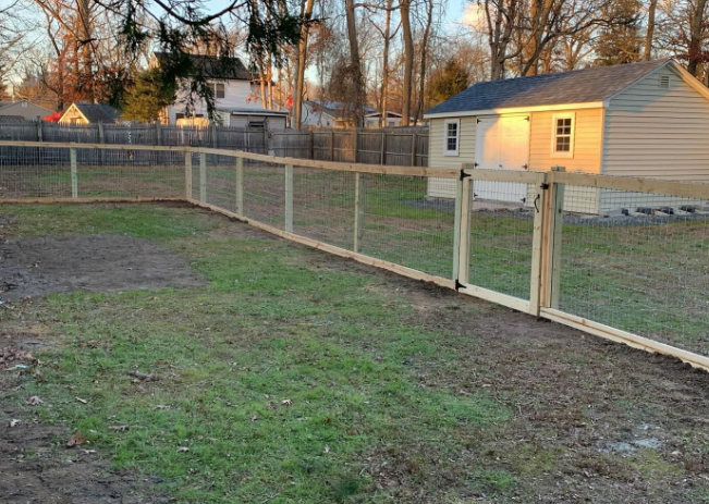 Backyard with wire fence and gate beside a small light-colored shed at sunset