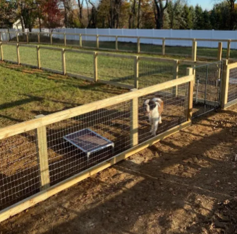 Dog in a fenced outdoor pen beside a small shelter, with a pond and trees in the background