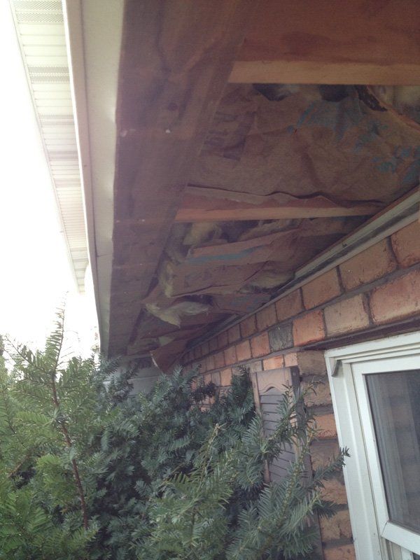 Insulation Installation