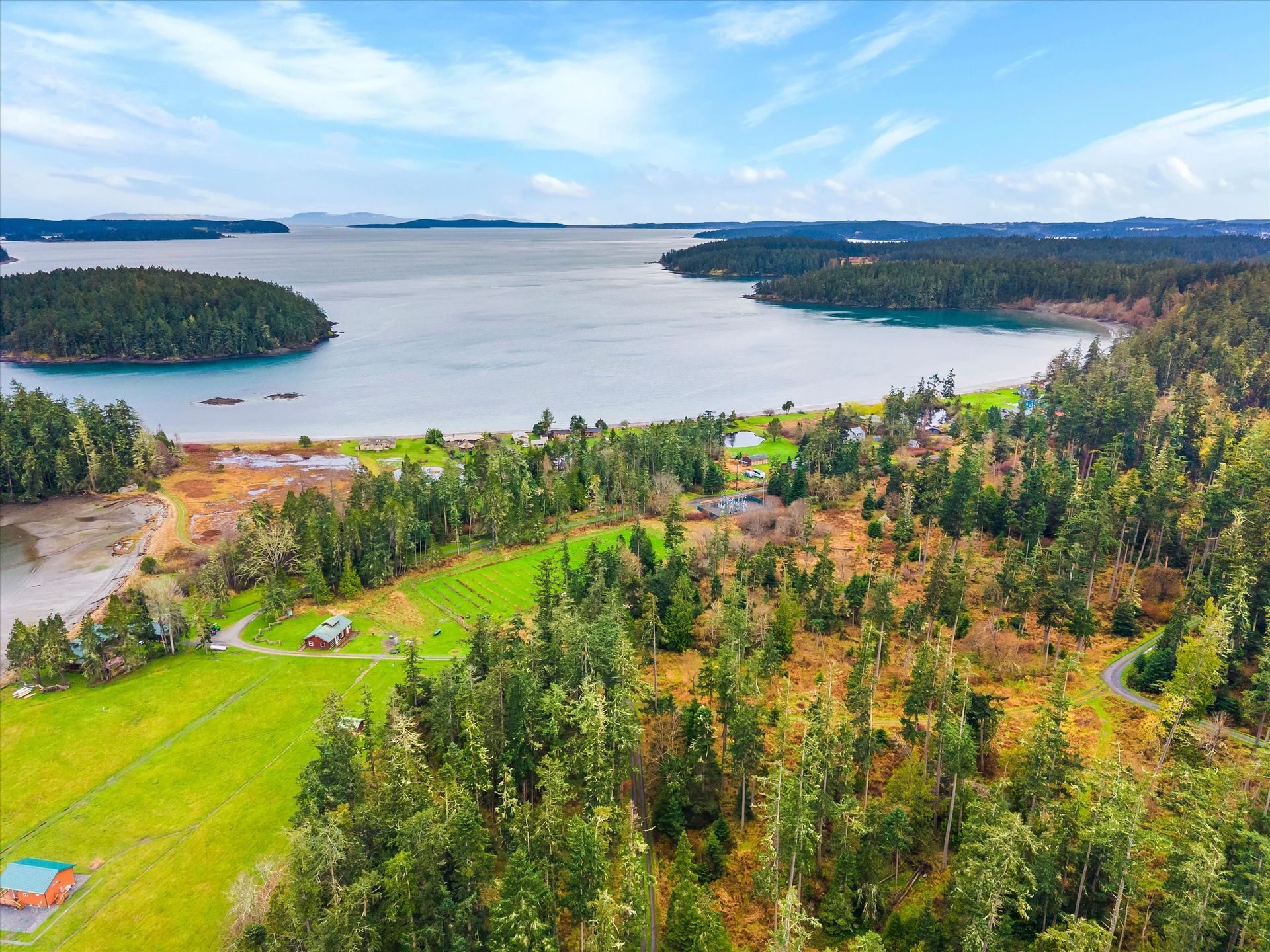 Aerial view of a coastal landscape featuring a lush green field, dense pine forests, and a calm bay under a bright sky.