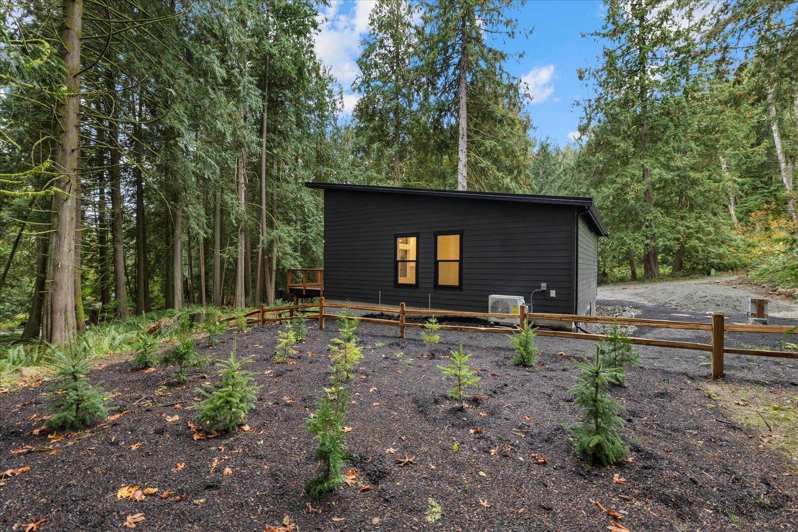 A small black house is sitting in the middle of a forest.