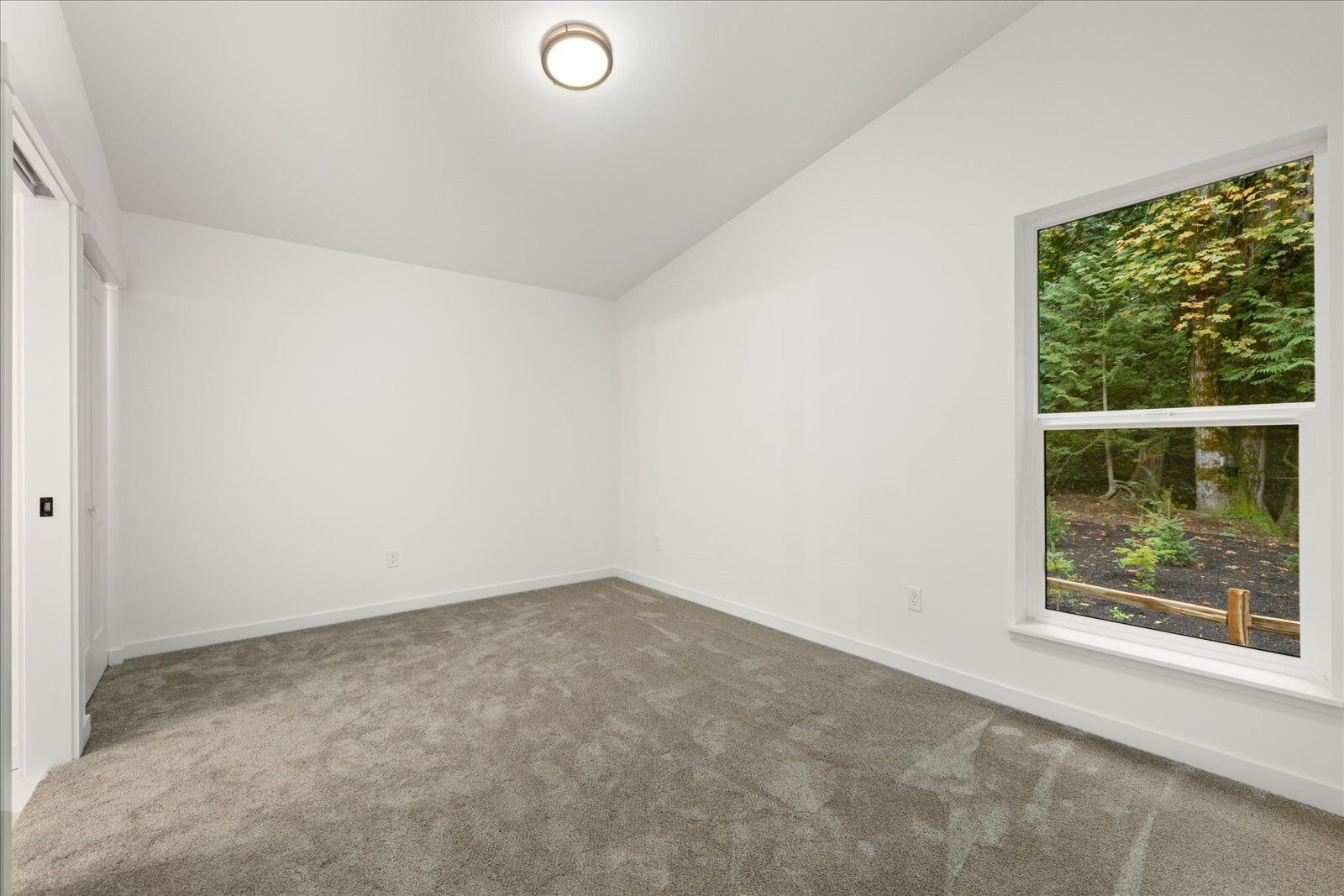 An empty bedroom with a window and a carpeted floor.