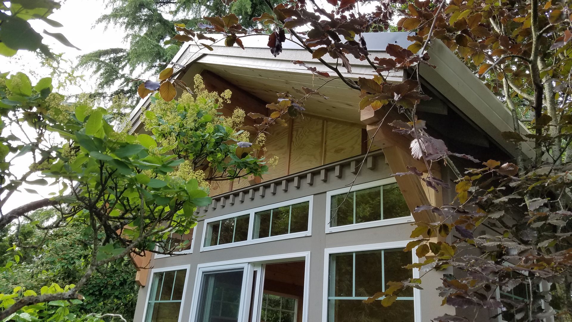 A small house with a lot of windows is surrounded by trees.