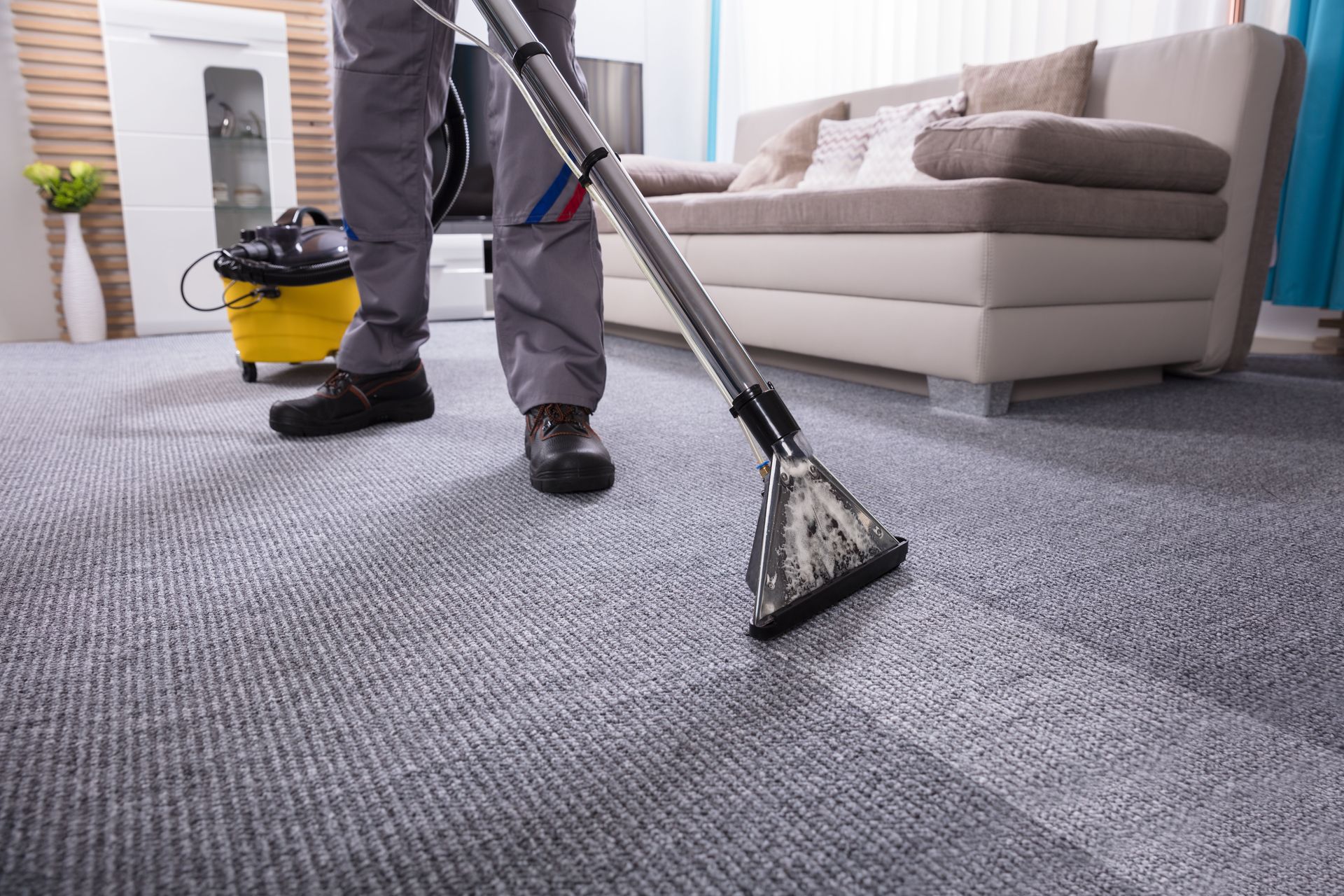 carpet cleaning company