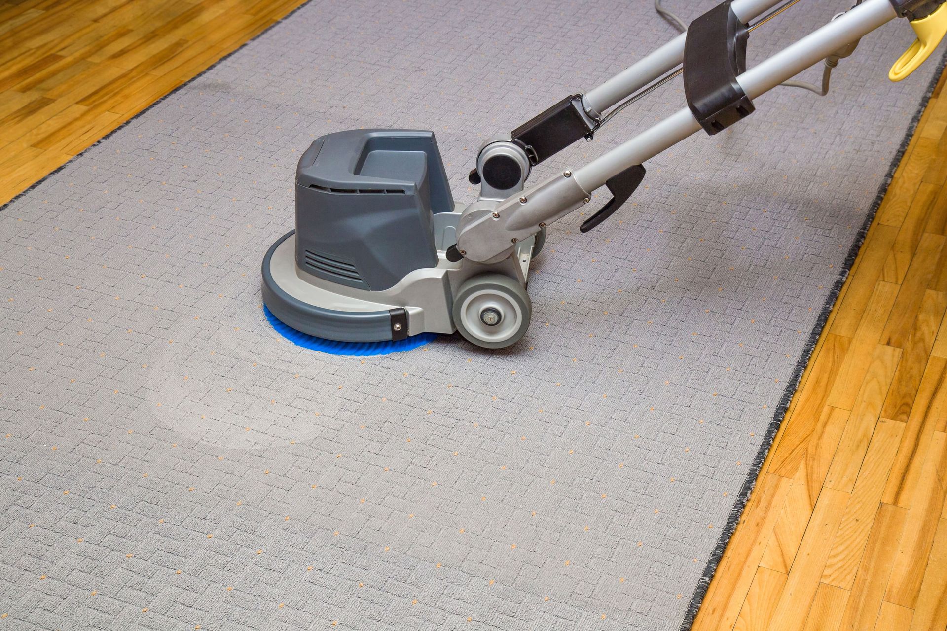 carpet cleaning companies