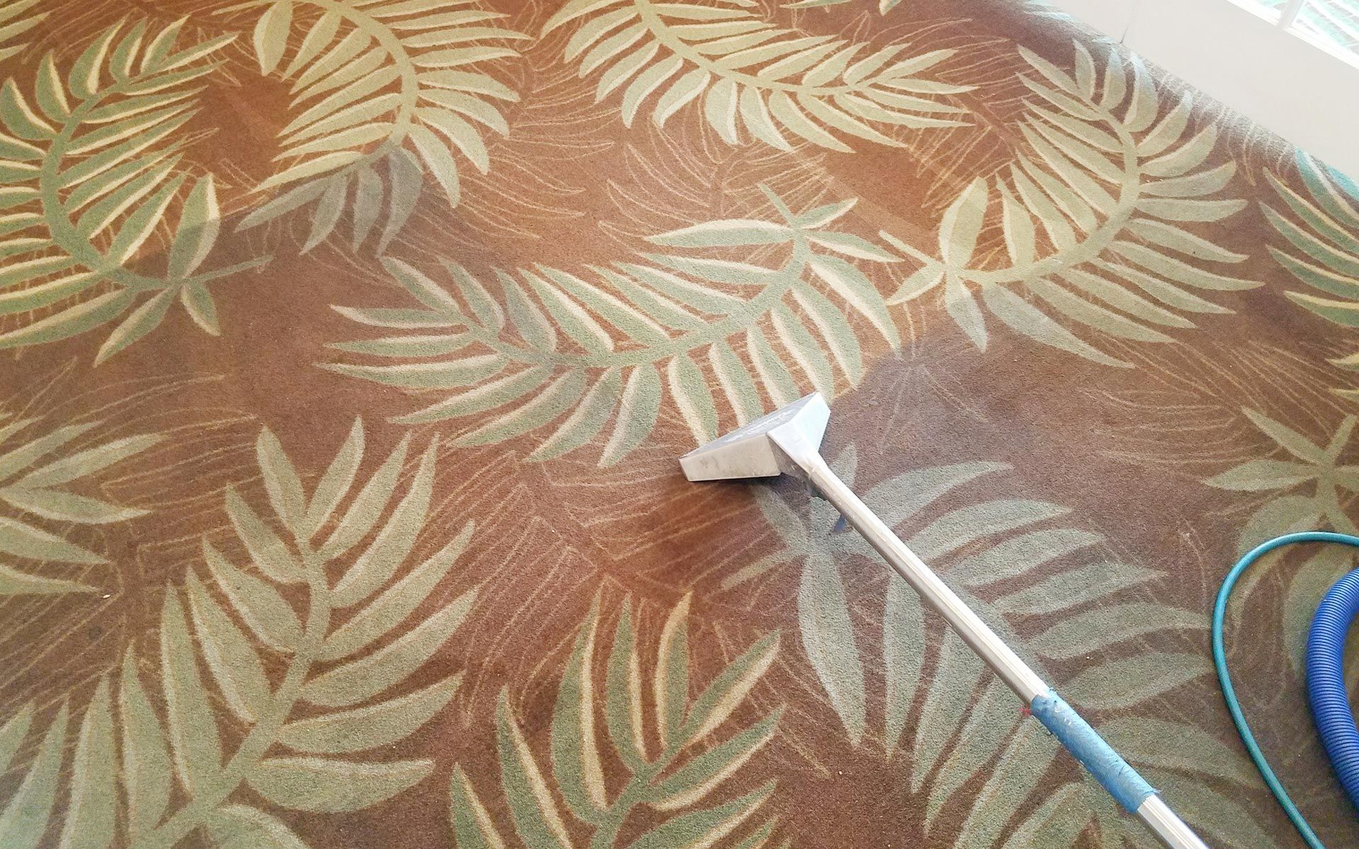 a vacuum cleaner is cleaning a carpet with leaves on it.