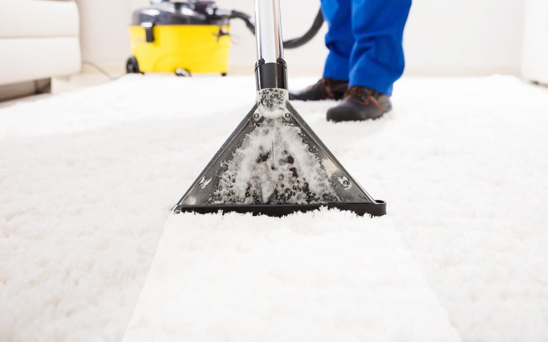 a person is cleaning a white carpet with a vacuum cleaner.