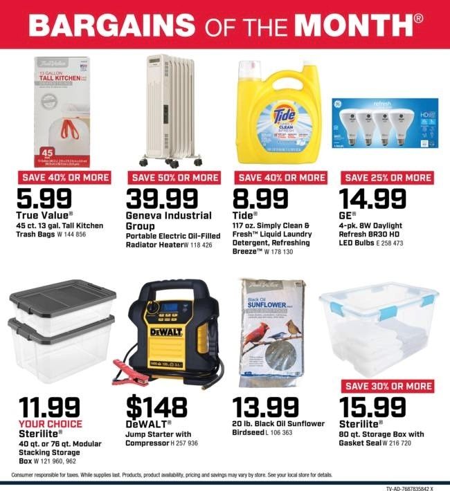 Bargains of the Month - January 2025