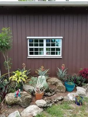 Brown building with white-framed window above a rock garden with plants, including pineapples.