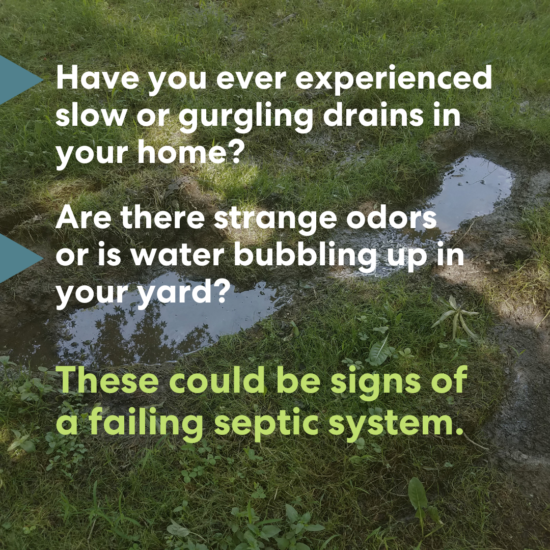 These could be signs of a failing septic system.