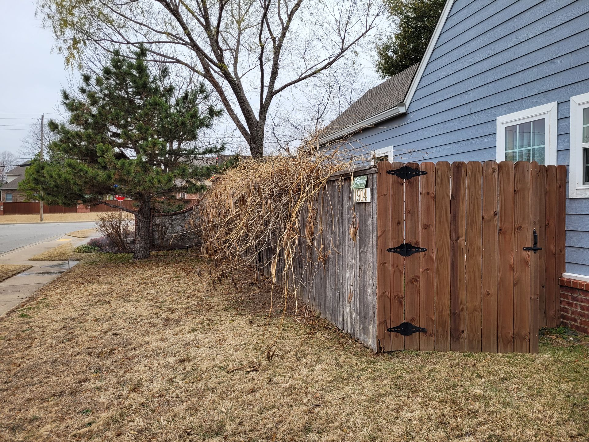 before picture of a wooden fence in front of a blue house.