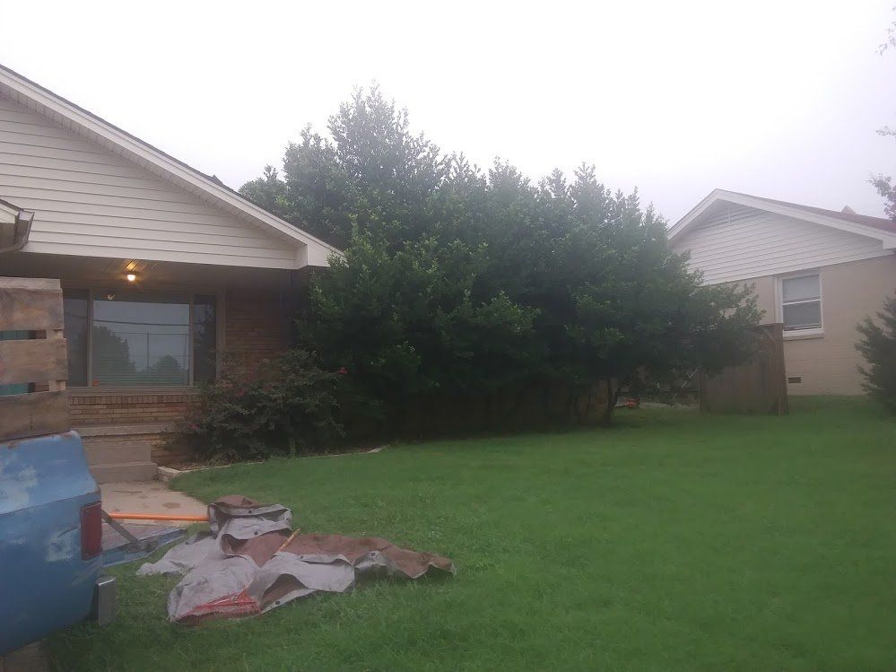 Bush Trimming Before