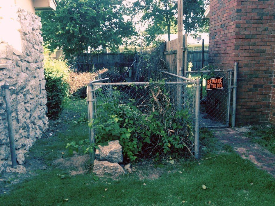 Fence Line Cleaning Before