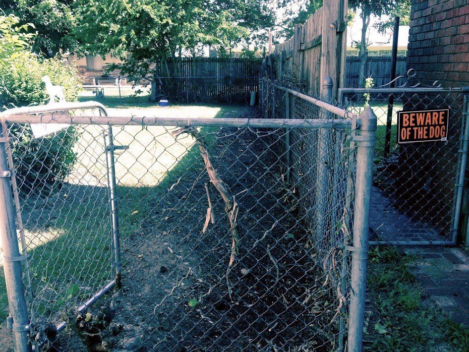 Fence Line Cleaning After