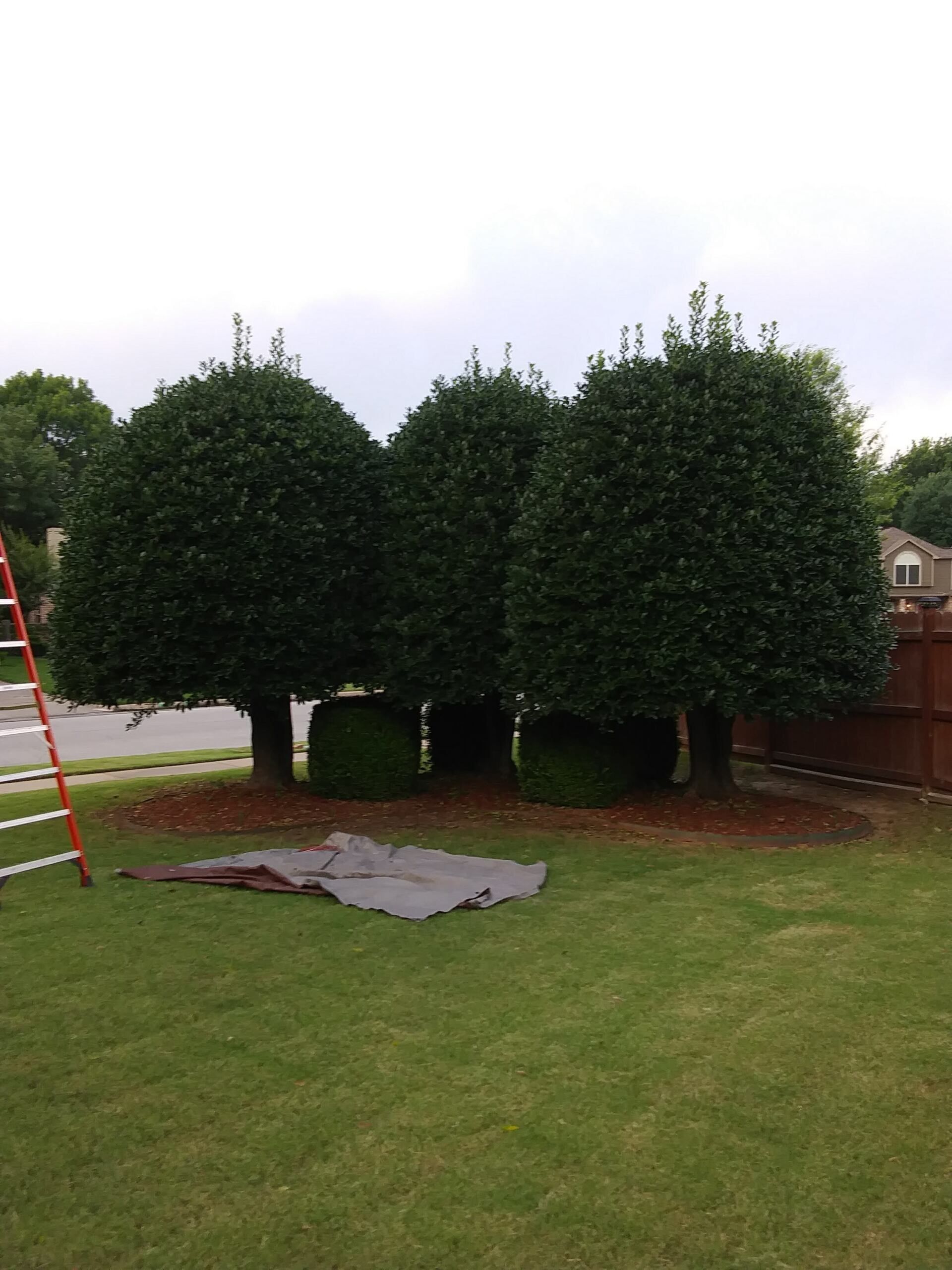 Trimming Before