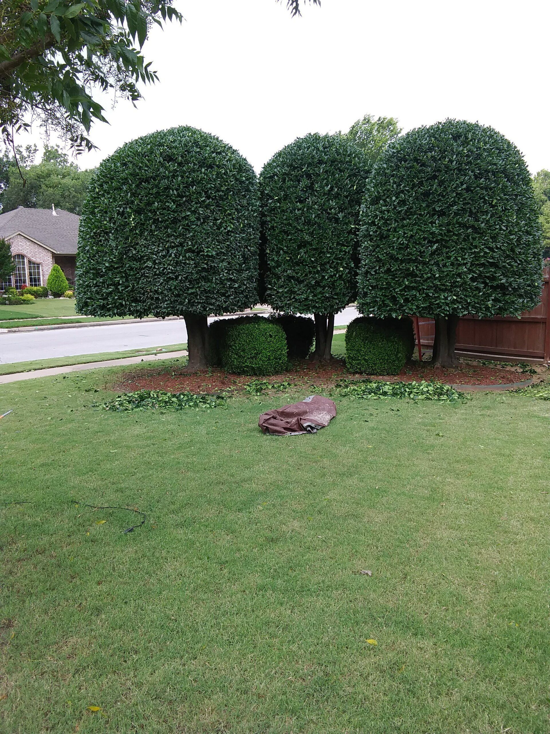 Trimming After