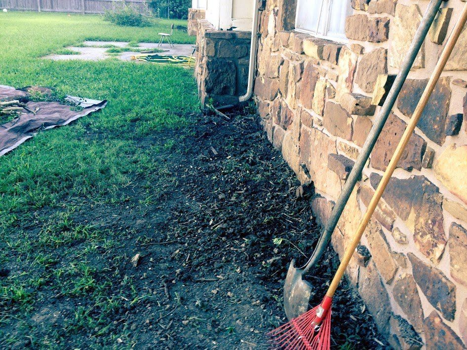 Yard Cleanup After