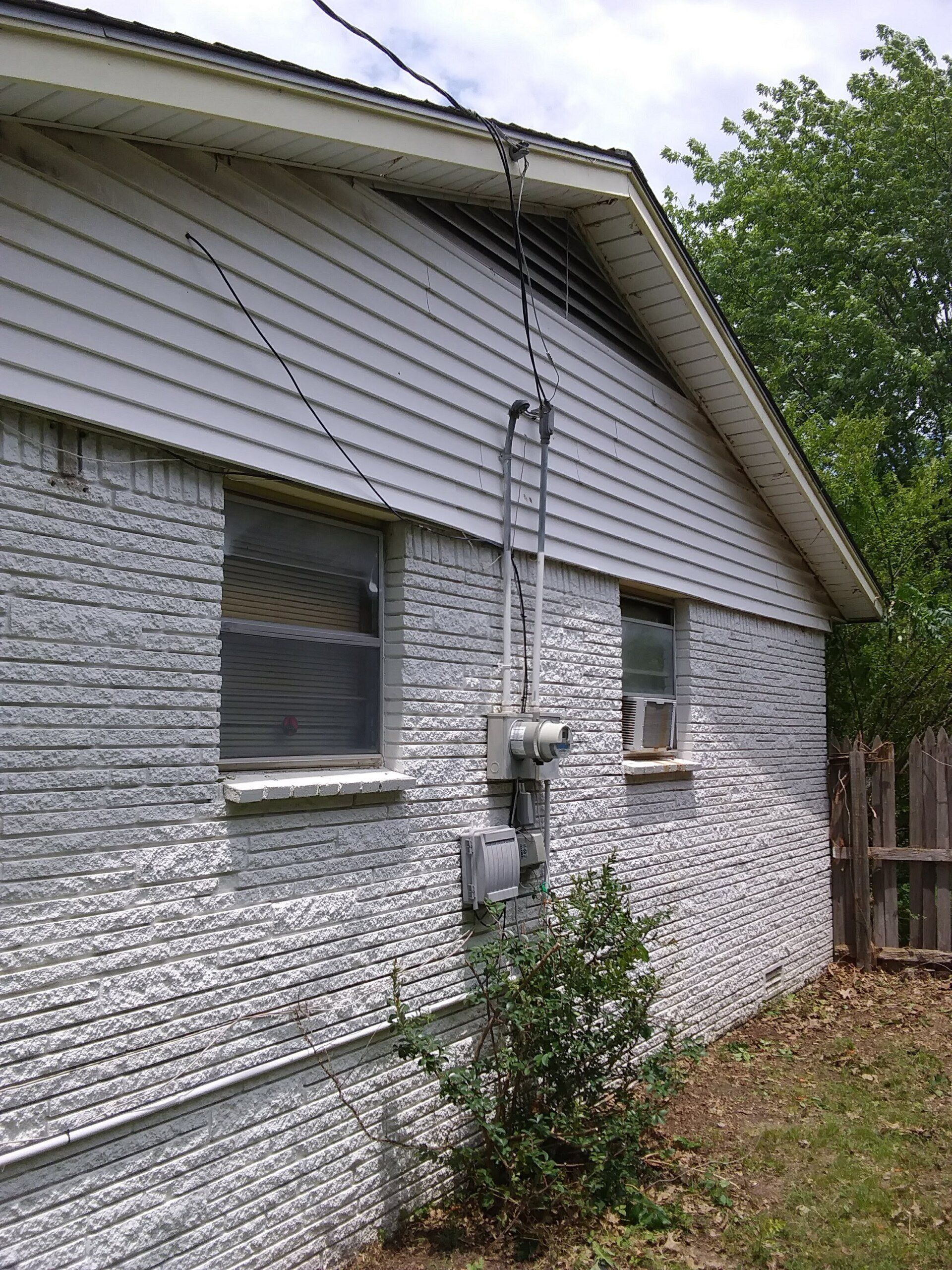 Vine Removal After