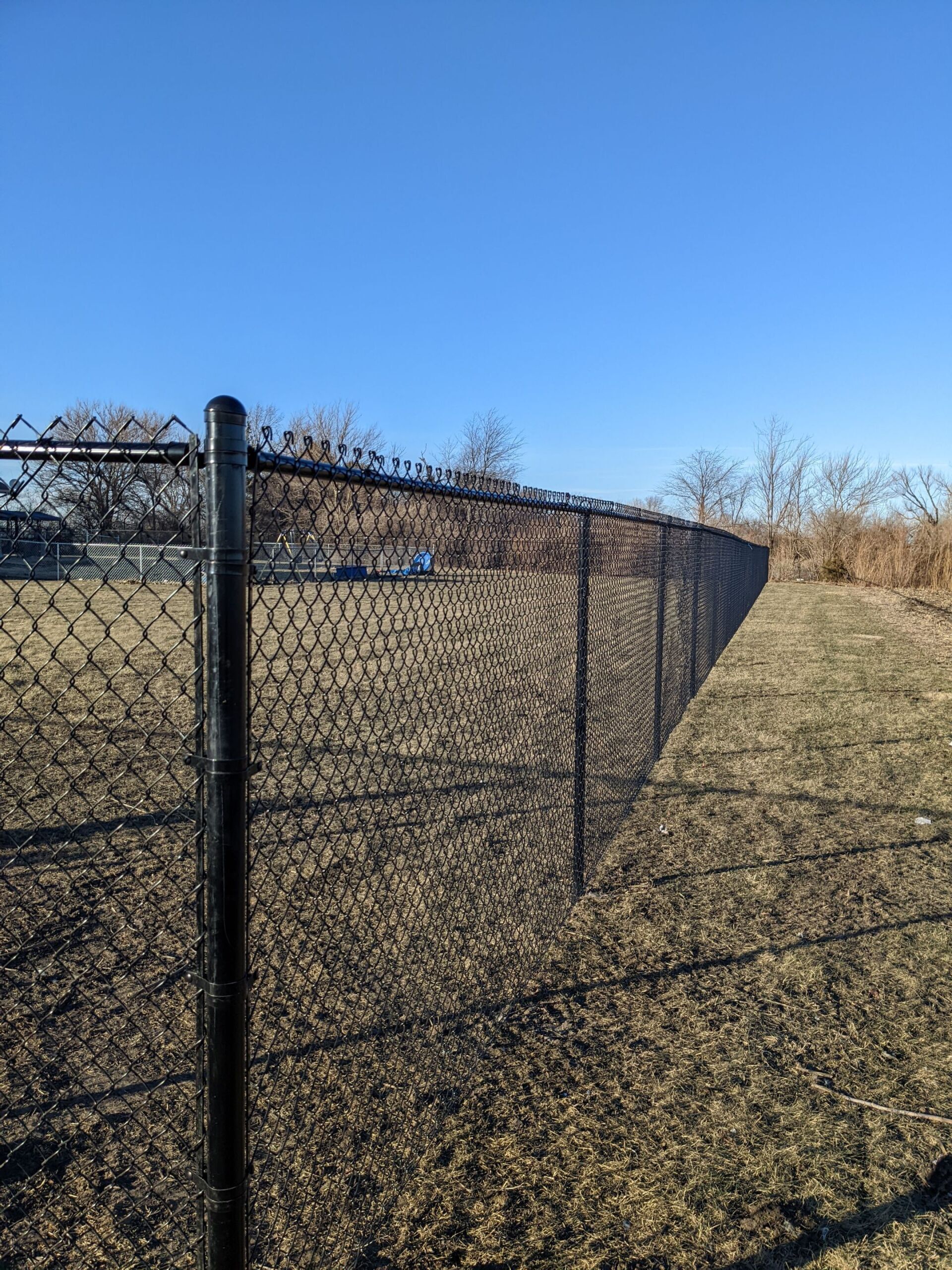 A chain link fence surrounds a field with a blue sky in the background