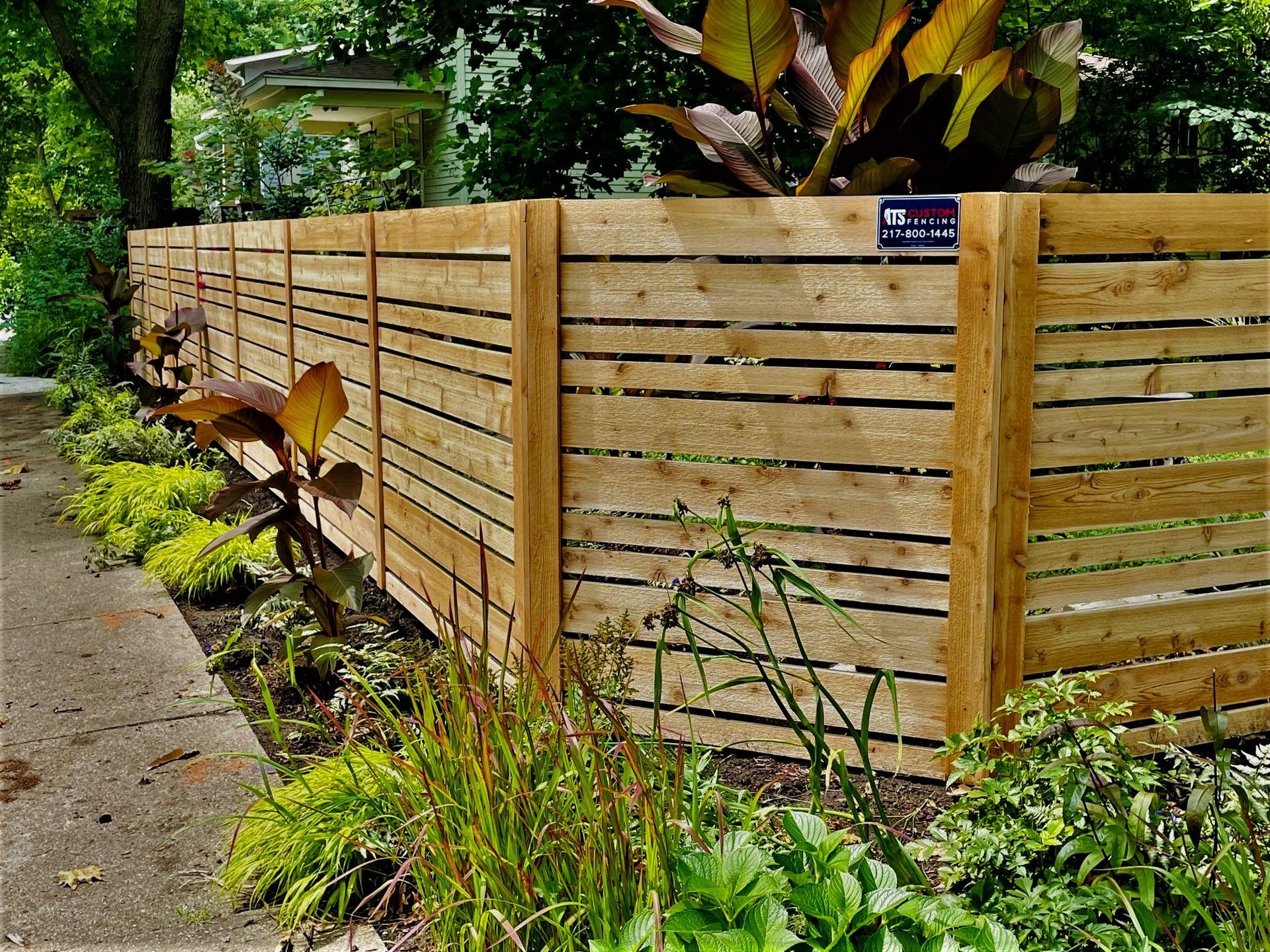 A wooden fence is surrounded by plants and trees