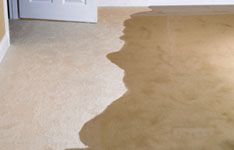 Water extraction carpet