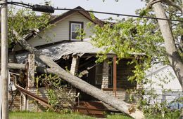 A tree fell on a house