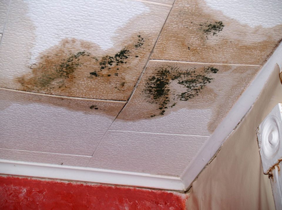 Mold on ceiling