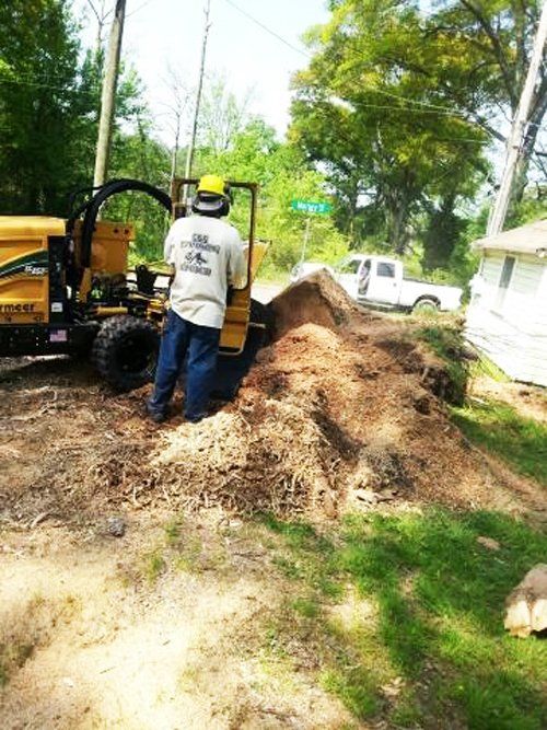 stump grinding