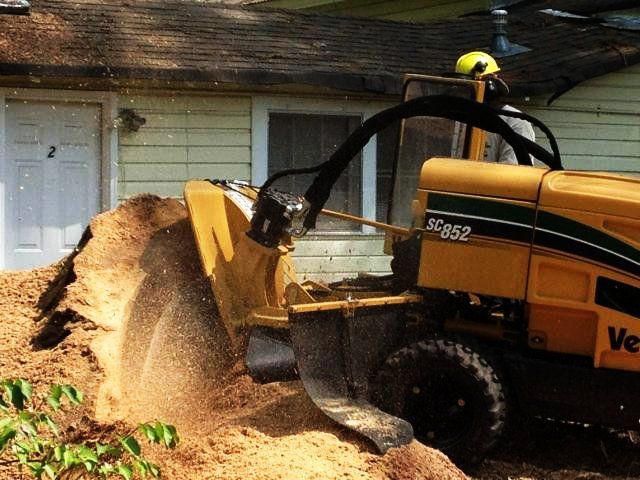 stump grinding