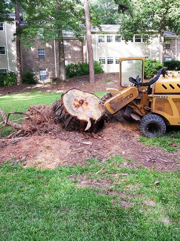 stump grinding
