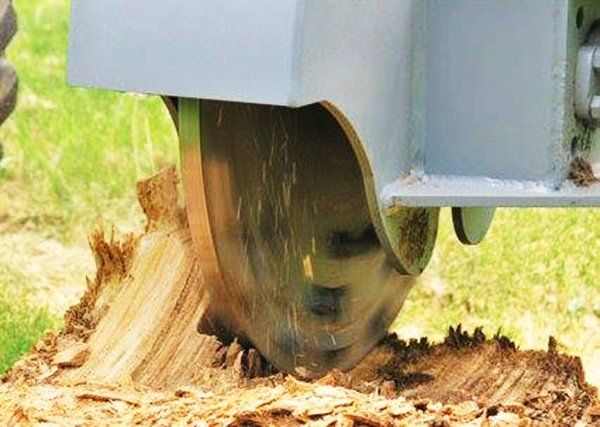 stump grinding