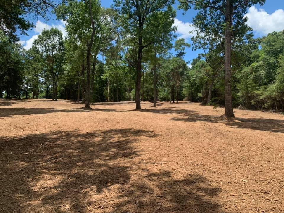 Forestry Mulching, a form of environmentally friendly land clearing, removes all brush and vegetation from your property and leaves behind a layer of mulch