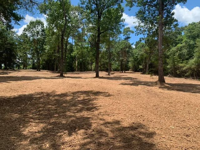 The Ultimate Guide to Land Clearing in Texas