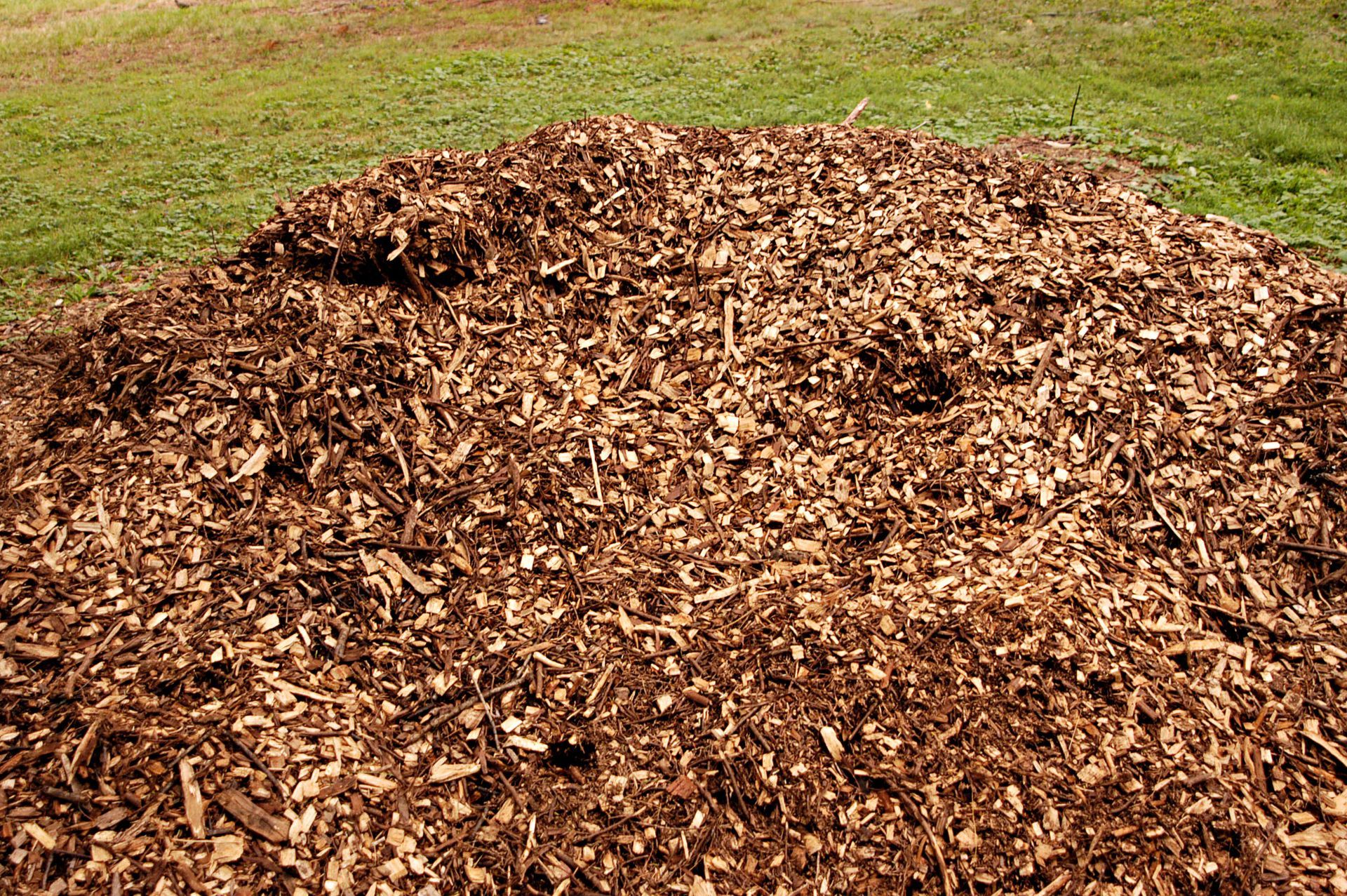 brush mulching