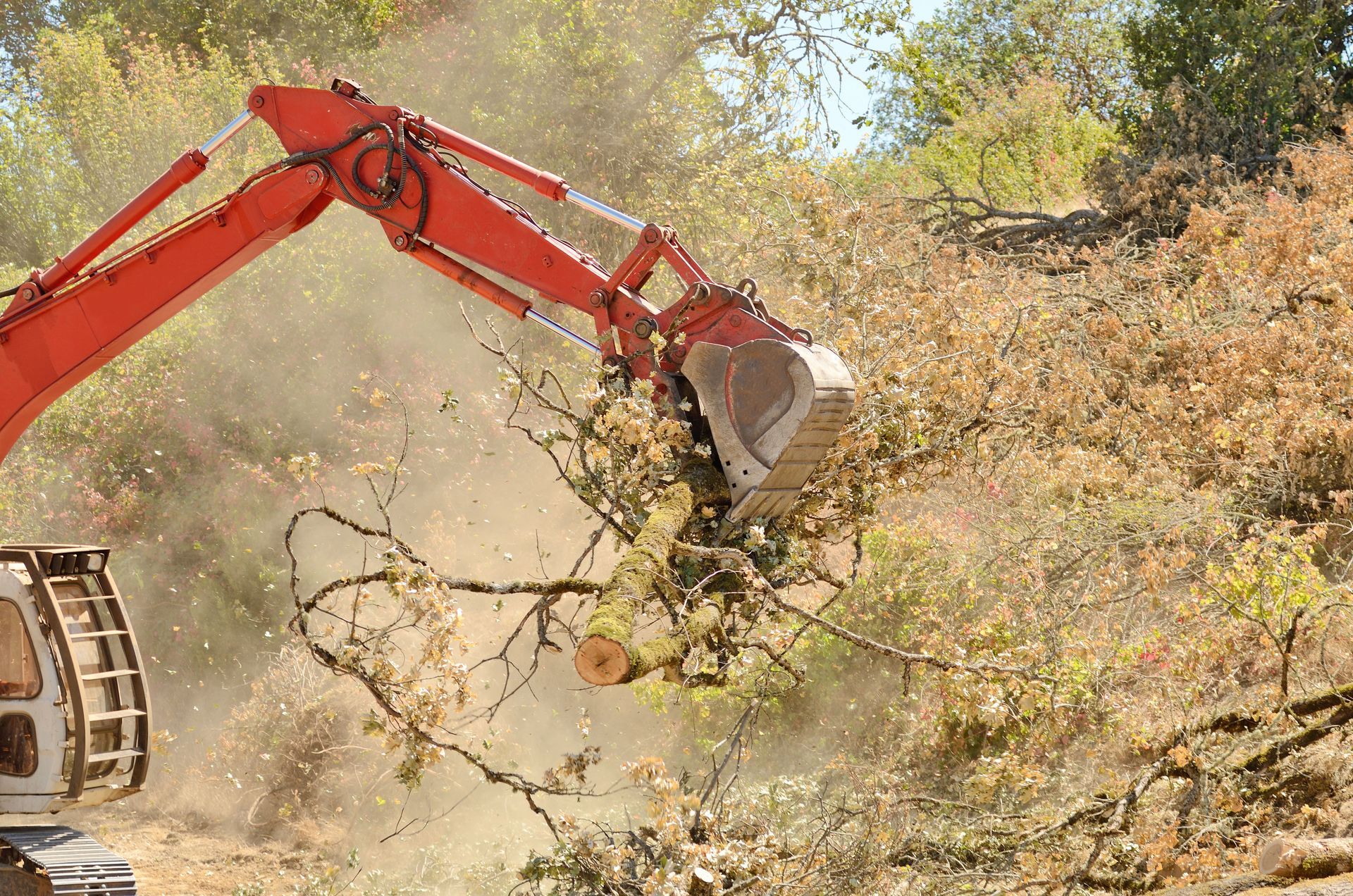 brush clearing company