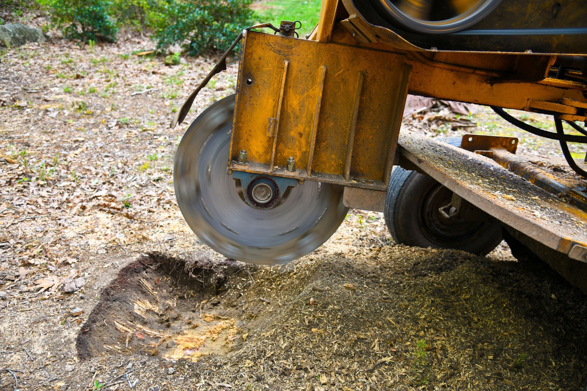 A stump grinder is cutting a tree stump in the ground