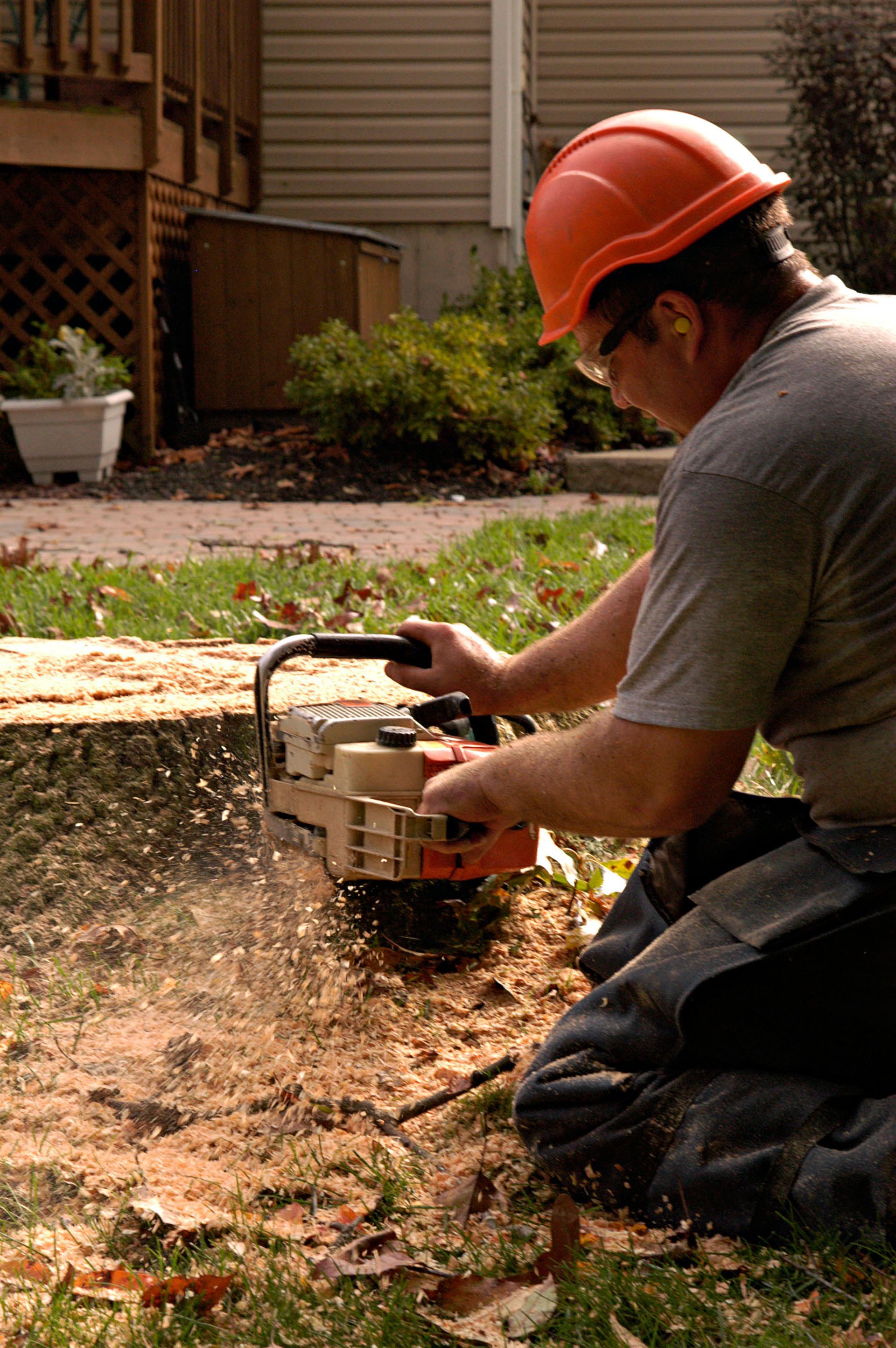 A man wearing a hard hat is cutting a tree stump with a chainsaw.