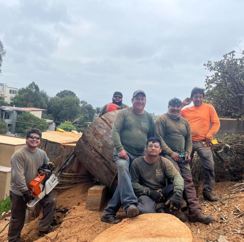 A group of men are standing around a large tree stump.